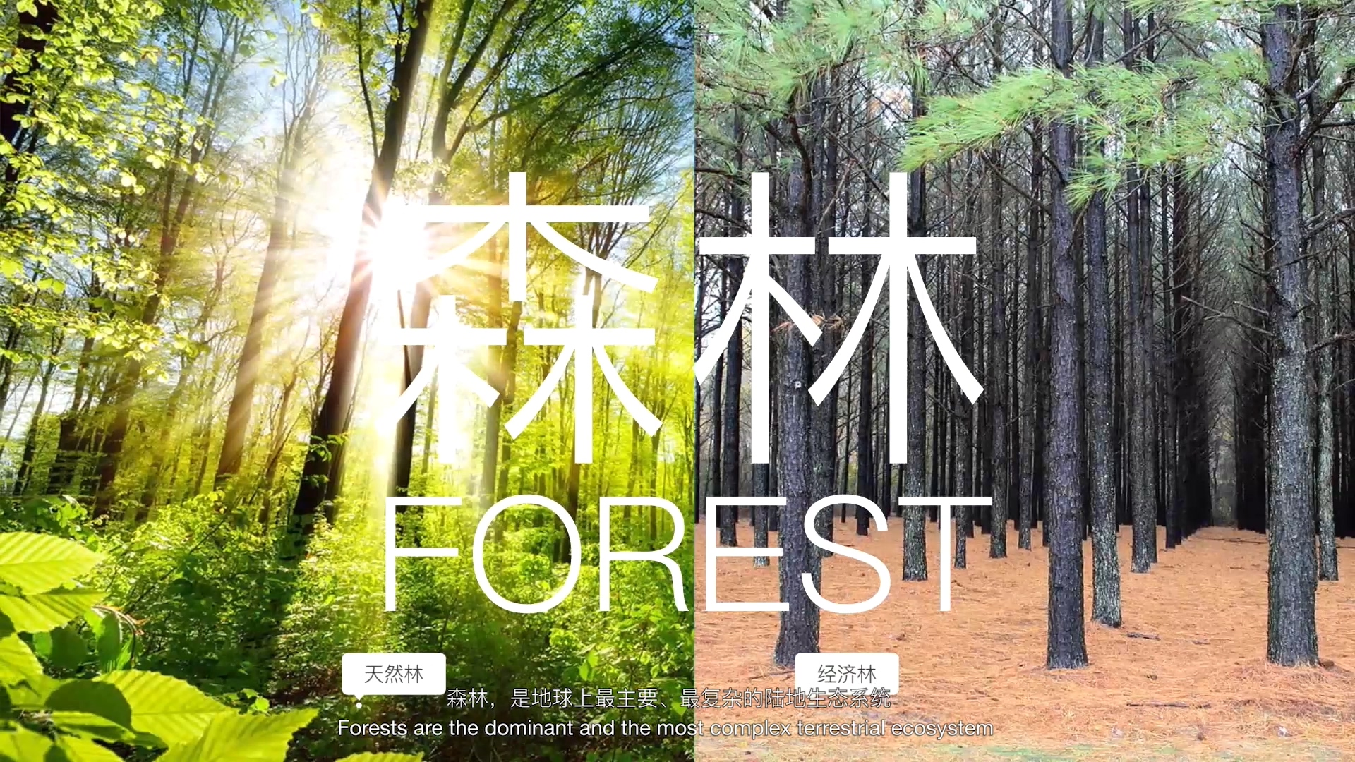 建筑空间-解释说明动画演绎