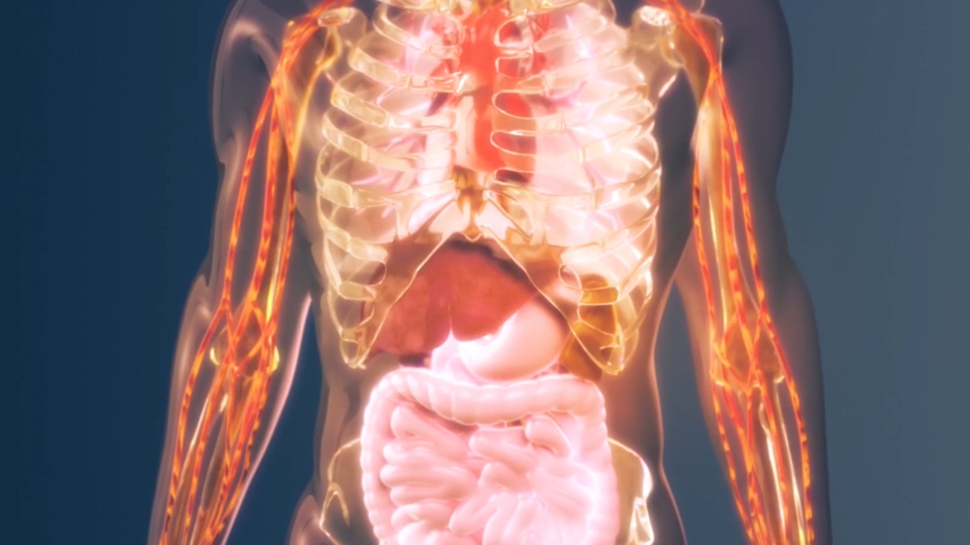 医疗输血疗法脾\胆囊切除术医学演绎动画