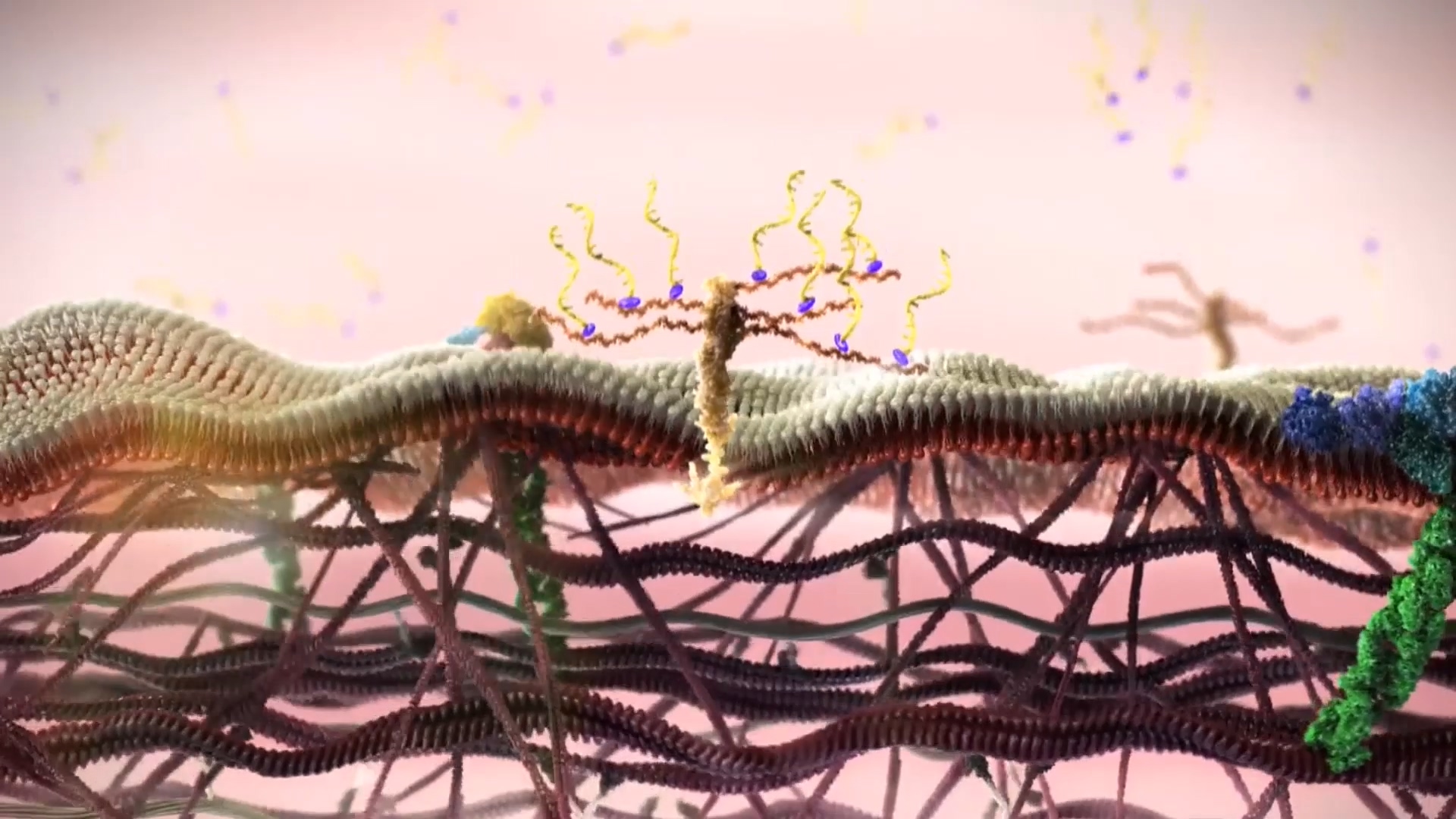 医学原理动画演绎