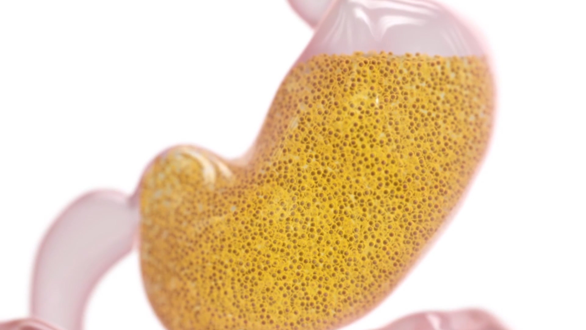 人体自我修复功能-3D动画