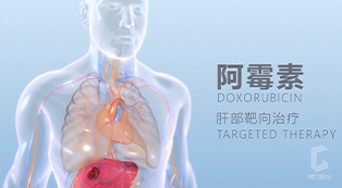 阿霉素肝部靶向治疗过程动画